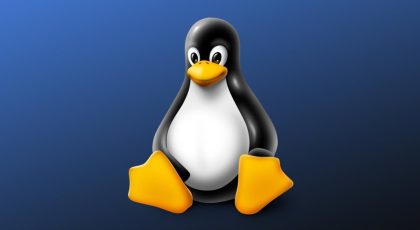 Linux DNS Nasıl Değiştirilir?