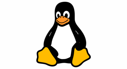 Linux DNS Cache Nasıl Temizlenir?