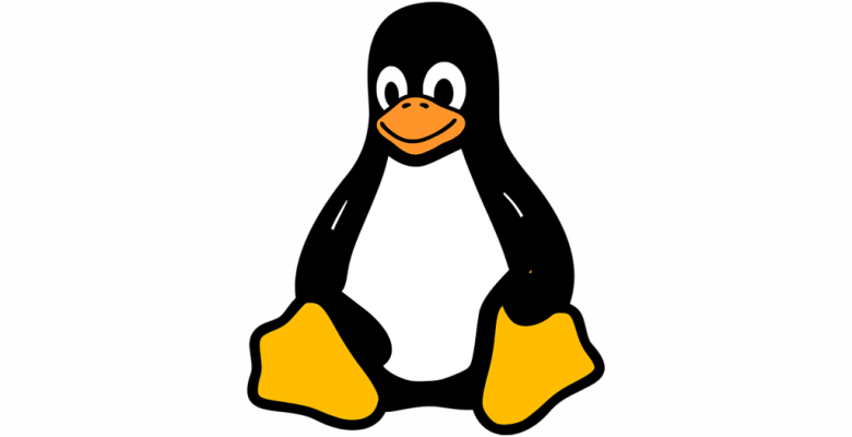 Linux DNS Cache Nasıl Temizlenir?