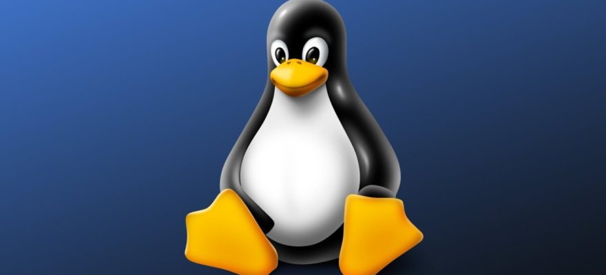 Linux DNS Nasıl Değiştirilir?